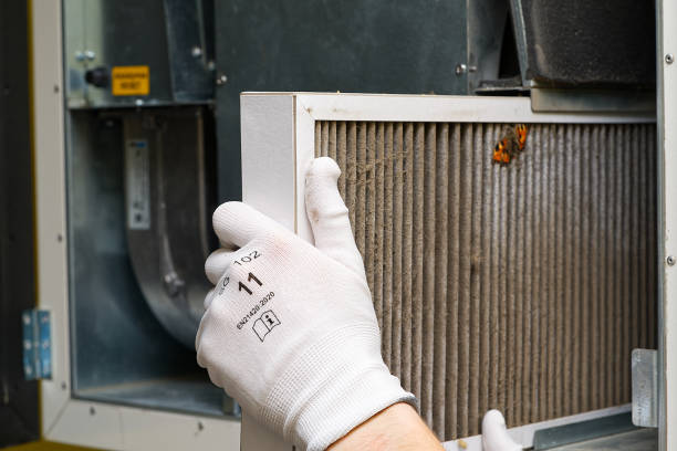 Best Best Air Duct Cleaning Near Me  in Llington, MI