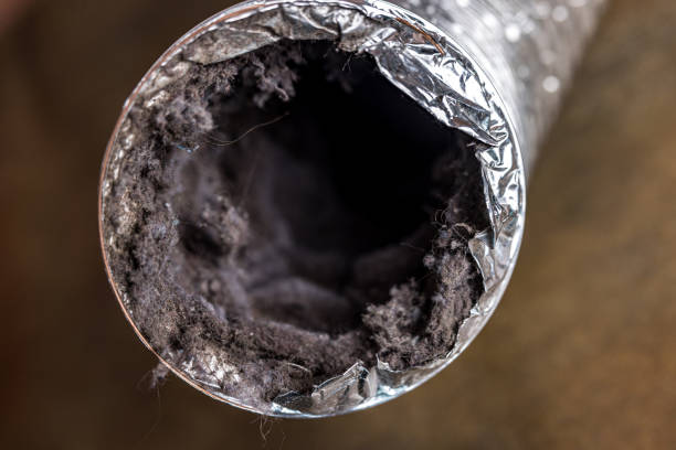 Best General Air Duct Cleaning  in Llington, MI